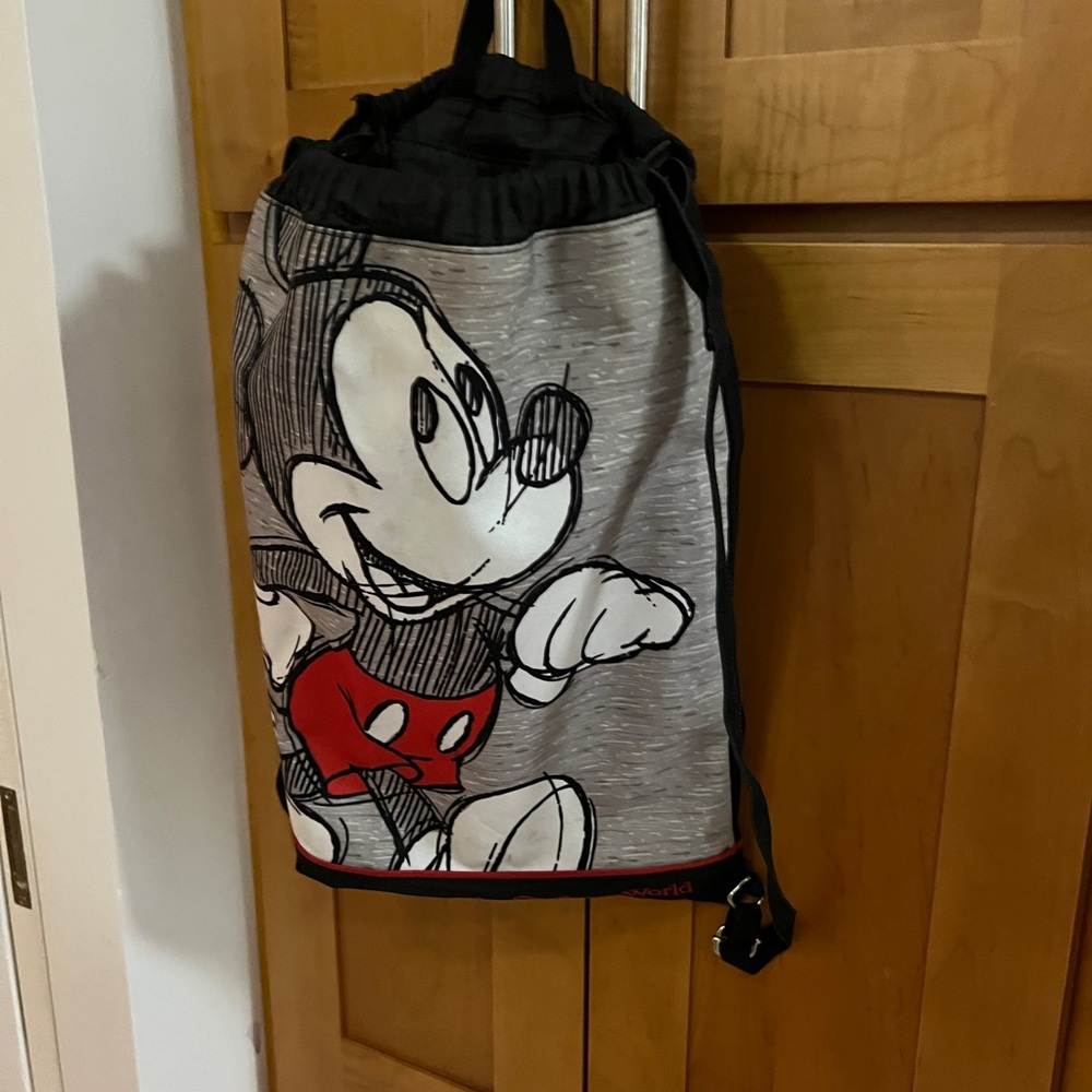 Disney backpack/drawstring backpack